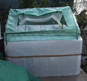 winter quarantine tanks.jpg