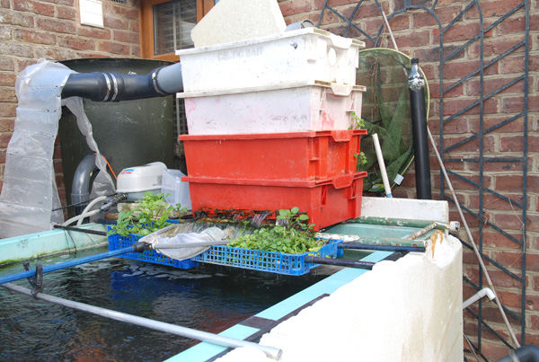 growing on upload.jpg