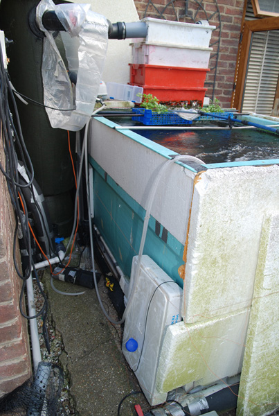 growing on upload 4.jpg