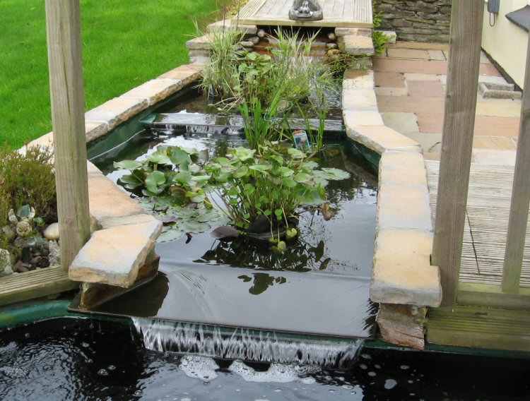 WaterFall with plants.jpg