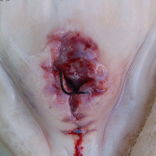 This picture is before any clean up